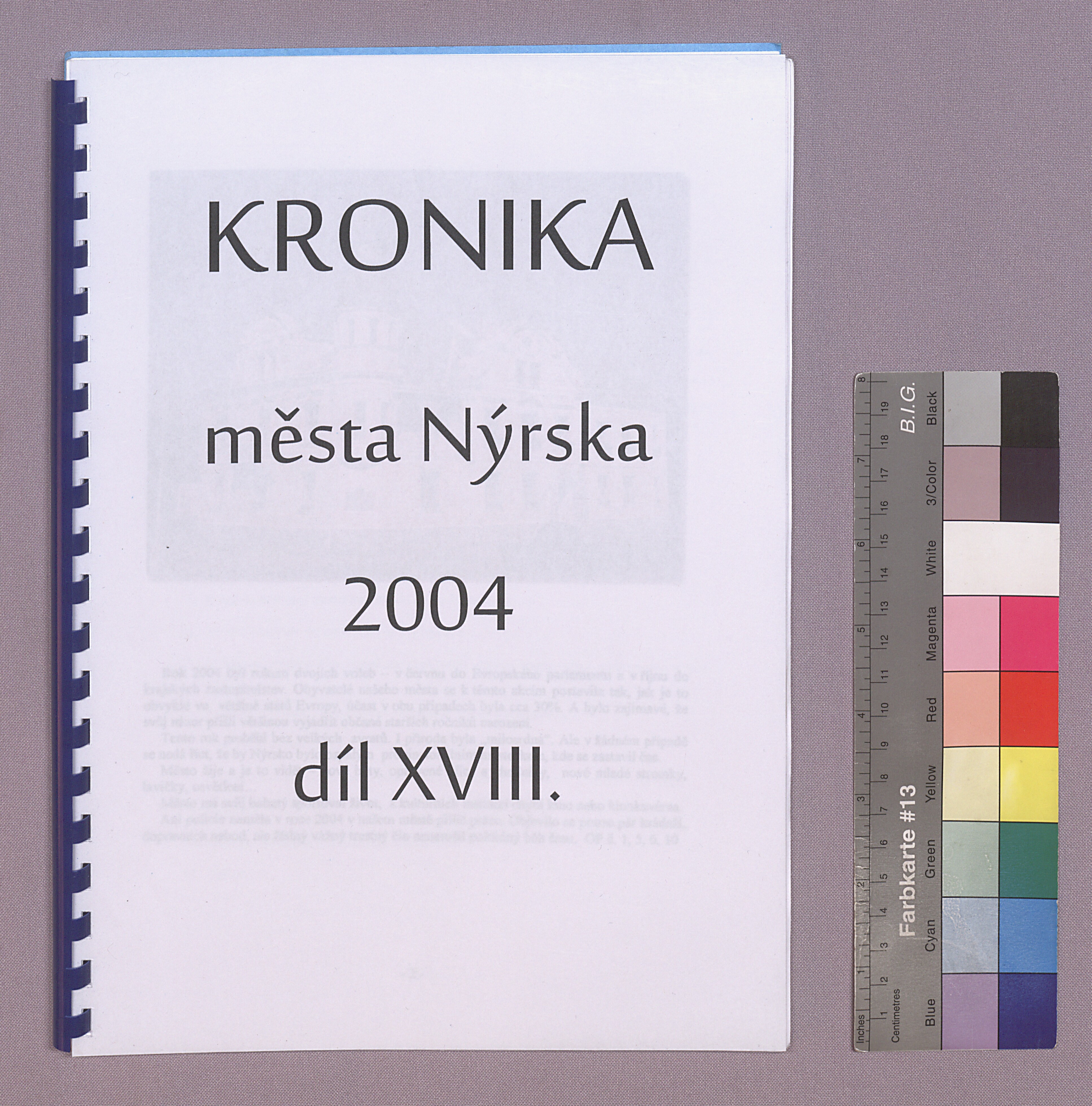 1. soap-kt_01723_obec-nyrsko-2004_0010